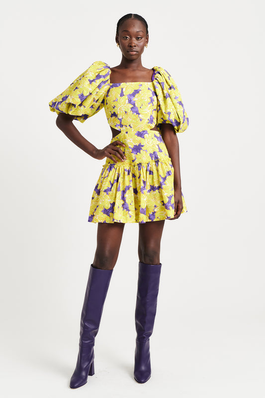 Ada Mini Dress - Paradise