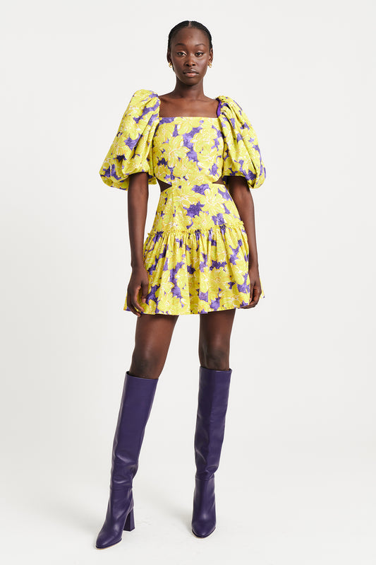 Ada Mini Dress - Paradise